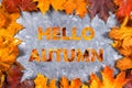 A frame of yellow and orange autumn maple leaves on gray dark concrete. The inscription is hello autumn. Royalty Free Stock Photo