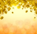 Frame of yellow and orange leaves of maple. Sunny autumn or summer day. Awakening of nature. Cover or background for an article Royalty Free Stock Photo