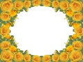 Frame of yellow roses on a transparent background Royalty Free Stock Photo