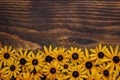 Frame of yellow sunflowers, wooden background