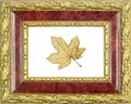 Framed gilded maple leaf