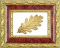 Framed gilded oak leaf