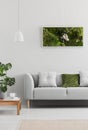 Framed, green moss garden on a white wall in a trendy living room interior with an elegant, gray sofa and a wooden table. Real pho