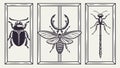 Framed Insect Collection with Various Beetles and Bugs, vector design Generative AI Royalty Free Stock Photo
