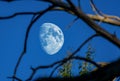 Framed moon Royalty Free Stock Photo