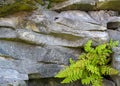 Framed stone texture