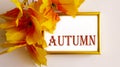 Framed text Autumn and colorful autumn leaf