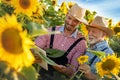 Framers team in sunflowers in field