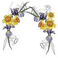 Frames of daffodil and iris flowers. Isolated over white background.