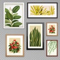 Frames with floral arrangements, interior design element Royalty Free Stock Photo