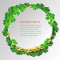 Frames for text with four petal-leaves clover and gold coins. Royalty Free Stock Photo