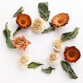 Framework with dry flowers on white background. Flat lay, overhead view Royalty Free Stock Photo