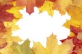 Framework from maple leaves Royalty Free Stock Photo