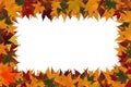 Framework from maple leaves Royalty Free Stock Photo