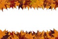 Framework from maple leaves Royalty Free Stock Photo