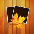 Framework for a photo decorated autumn Royalty Free Stock Photo