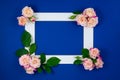 Flower`s composition. Framework of pink rose flowers on classic blue background. Valentines day, mothers day, women day