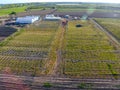 Frameworks of greenhouses, top . Construction of greenhouses in the field. Agriculture, agrotechnics of closed ground