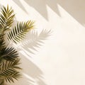 Framing border with tropical leaves arrangement and leave shadow on white wall