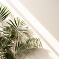 Framing border with tropical leaves arrangement and leave shadow on white wall