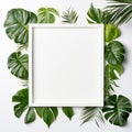 Framing border with tropical leaves on white background backdrop and copy space.