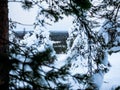 Framing the forest - rovaniemi - lapland Royalty Free Stock Photo