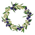 A wreath of branches of an olive tree. Watercolor green and black olives. Royalty Free Stock Photo