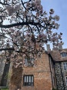 Framlingham castle in Suffolk