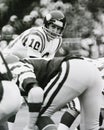 Fran Tarkenton Minnesota Vikings Royalty Free Stock Photo