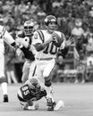 Fran Tarkenton