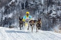 A competitor rushes at a tremendous speed along the track with a team of sled dogs Royalty Free Stock Photo