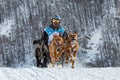 A competitor rushes at a tremendous speed along the track with a team of sled dogs