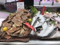 FRANCE, BORDEAUX, February, 2, 2024: Assortment of fresh daily catch of prawns, seashells, molluscs on ice on fish Royalty Free Stock Photo