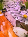 FRANCE, BORDEAUX, February, 9, 2024: Assortment of fresh daily fish on ice market in supermarket Royalty Free Stock Photo