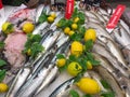 FRANCE, BORDEAUX, February, 9, 2024: Assortment of fresh daily fish on ice market in supermarket Royalty Free Stock Photo