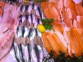 FRANCE, BORDEAUX, February, 9, 2024: Assortment of fresh daily fish on ice market in supermarket Royalty Free Stock Photo