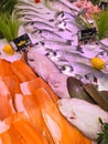 FRANCE, BORDEAUX, February, 9, 2024: Assortment of fresh daily fish on ice market in supermarket Royalty Free Stock Photo