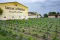 Fields with well-tended young vineyards in Chateau La Marzelle.