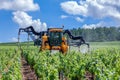France Chablis 2019-06-21 front view of agriculture orange tractor cultivate field. Tractor with agricultural sprayer