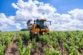 France Chablis 2019-06-21 Orange tractor spraying vineyard with sulfur Royalty Free Stock Photo