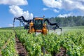 France Chablis 2019-06-21 Orange tractor spraying vineyard with sulfur Royalty Free Stock Photo