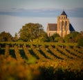 France, Charente-Martime, Lonzac Church,in Cognac Vineyards, Petite Champagne