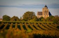 France, Charente-Martime, Lonzac Church,in Cognac Vineyards, Petite Champagne