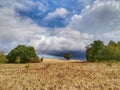 France, Chateauroux. Magnificent autumn landscape of golden fields and majestic lonely oak