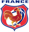 france cockerel rooster rugby ball