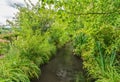 France Giverny Monet's garden on a spring day