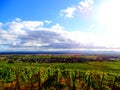 France, Great East, Alsace, Haut Rhin, village of Pfaffenheim surrounded by vineyards