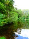 France, Great East, Alsace, mountain lake