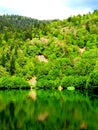 France, Great East, Alsace, mountain lake