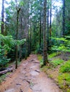 France, Great East, Alsace, mountain trail